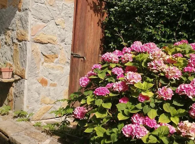 Ms Апартаменты